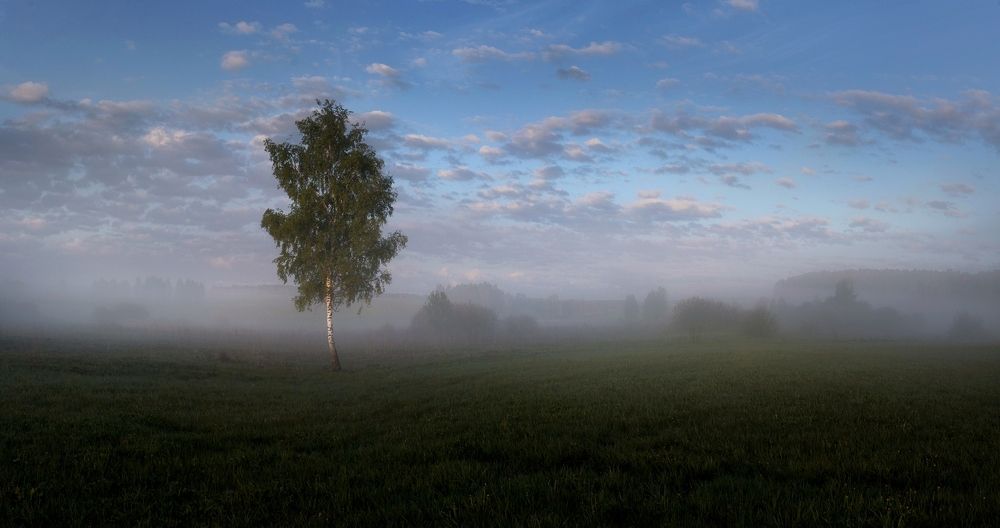 Photograph by Баранов Олег