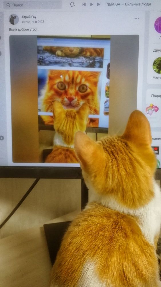 Photograph by Юрий Гау