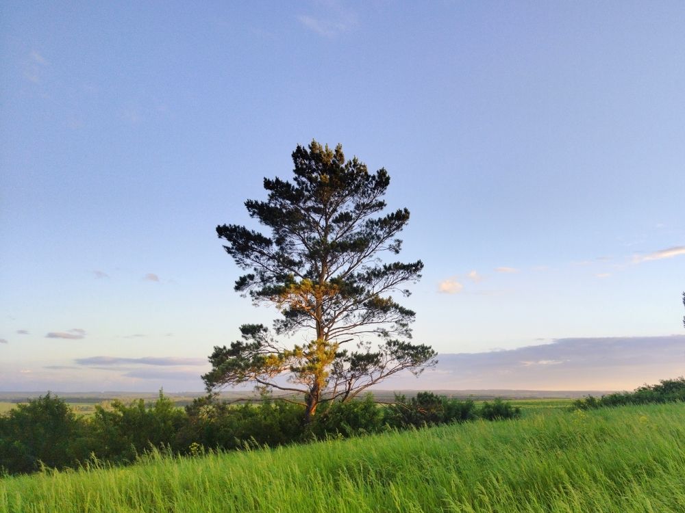 Photograph by Юлия