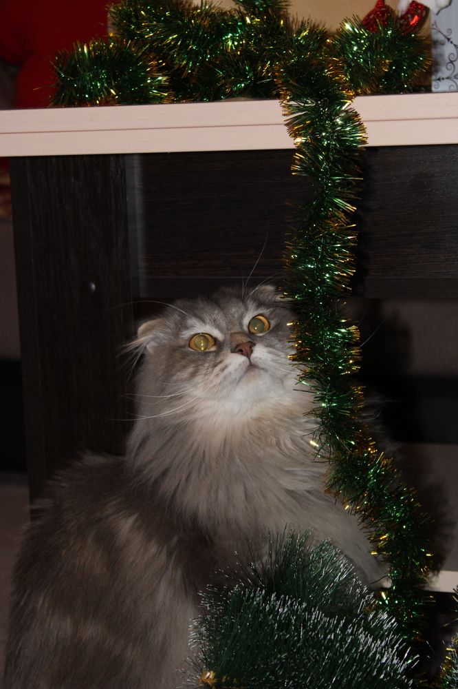 Photograph by Дарья Колесниченко