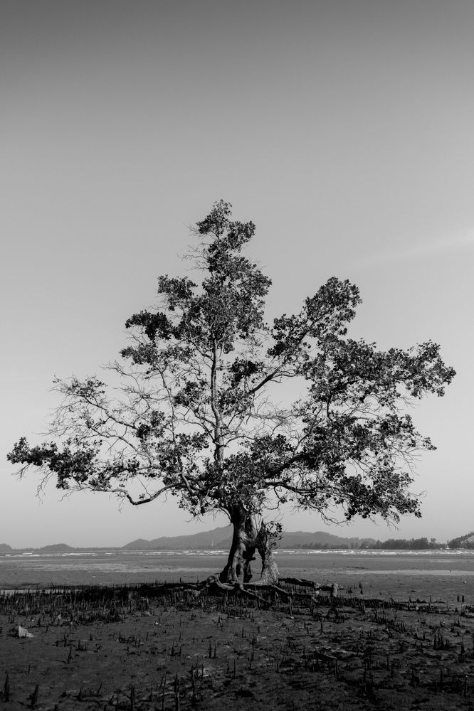 Фотография автора Leston Yong