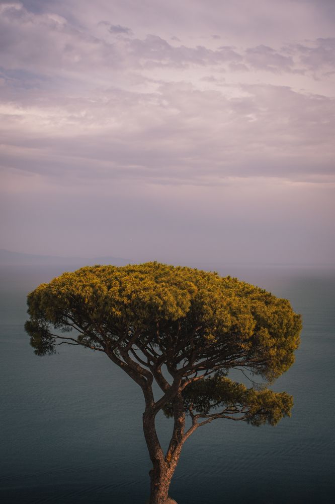 Photograph by Ángel Esteban