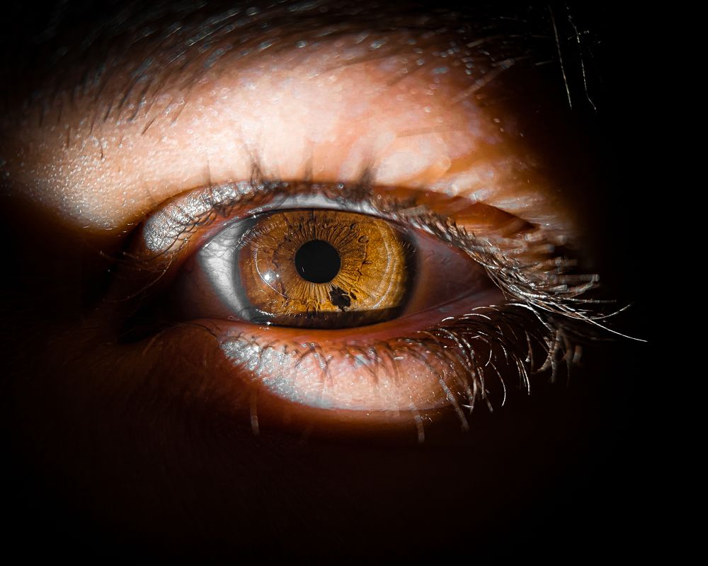 Photograph by Ángel Esteban