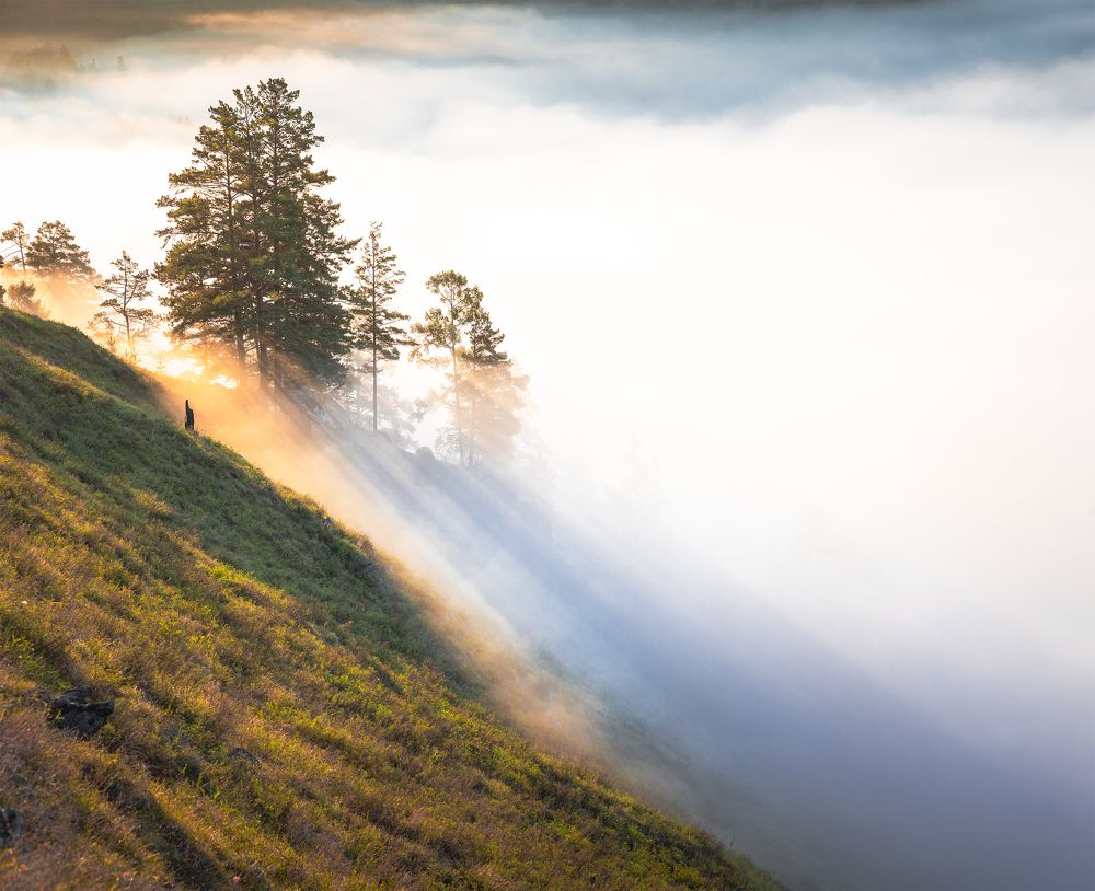 Photograph by Портных Дмитрий