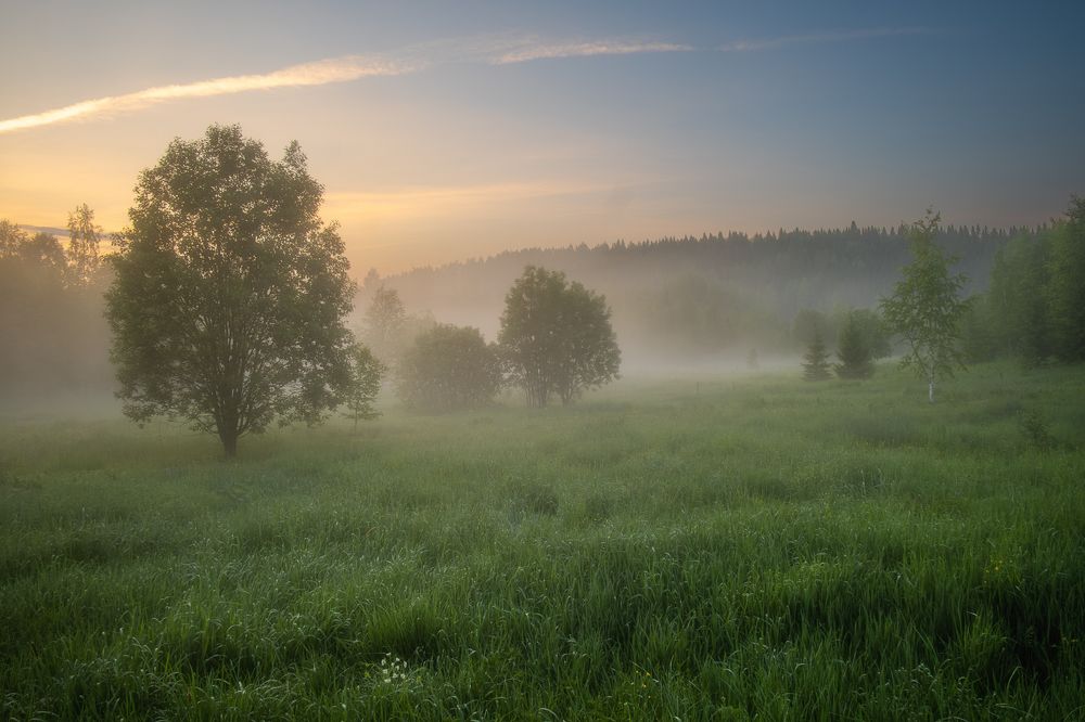 Photograph by Евгений Кузнецов
