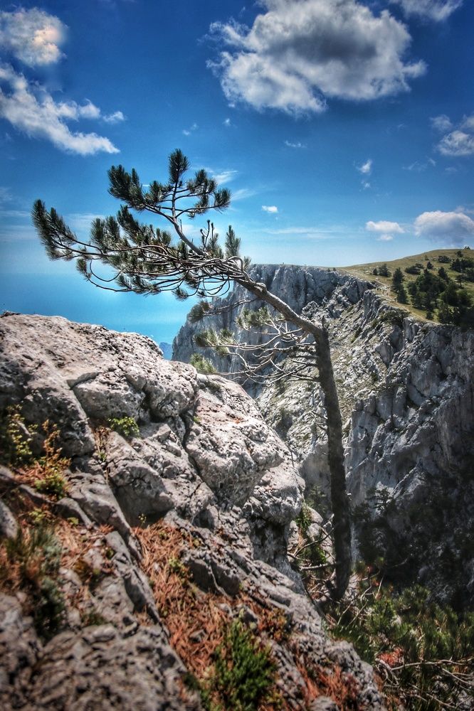 Photograph by Любомир