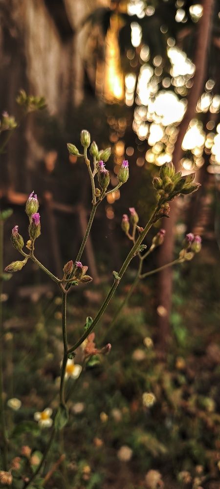 Photograph by Nitin Sidhpura