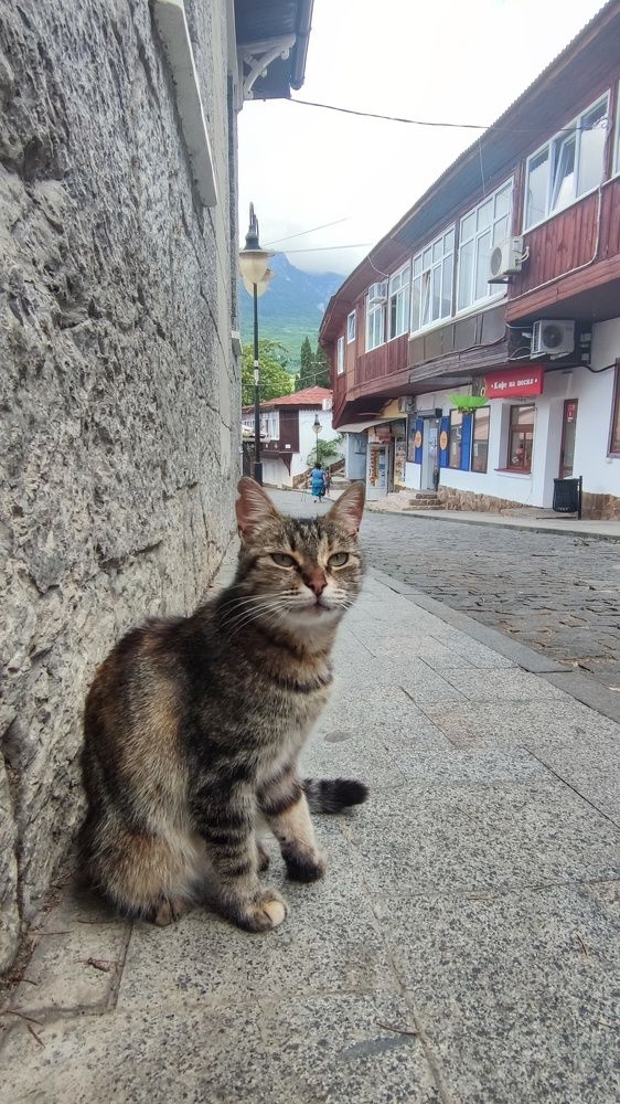 Photograph by Любомир