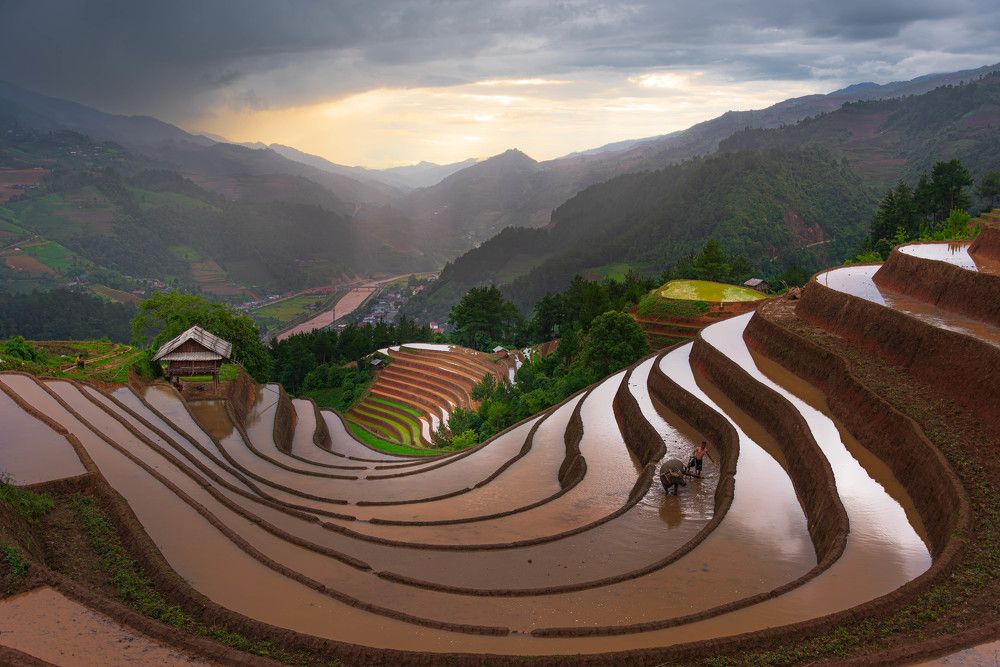 Photograph by Duc Nguyen