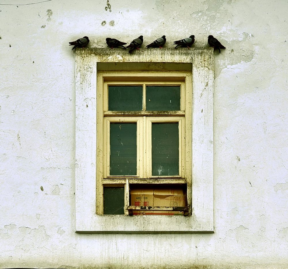 Photograph by Sam Esfahani