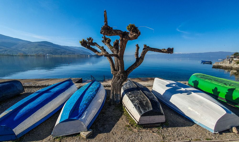 Photograph by Евгений Цапенко