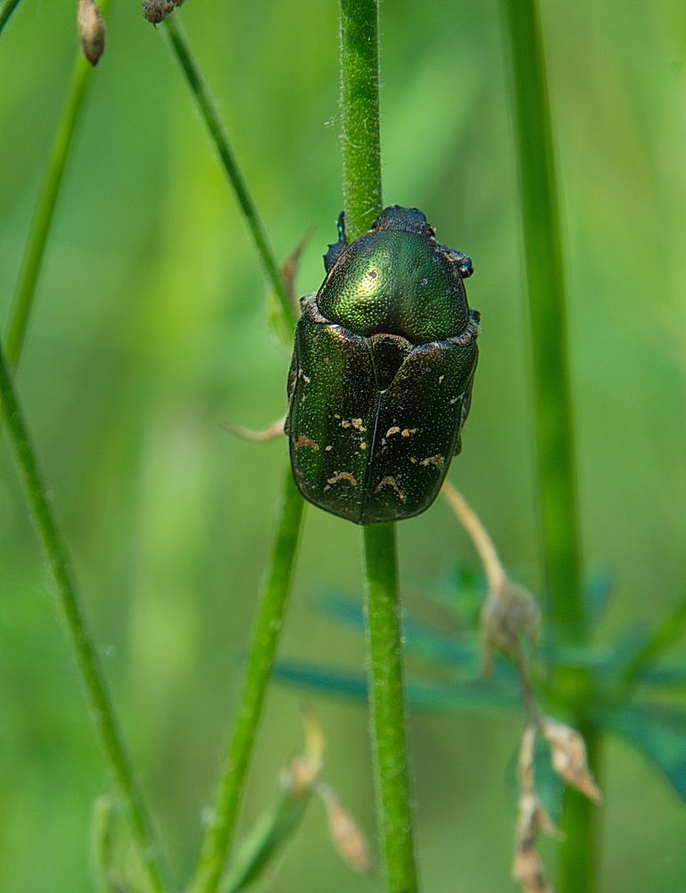 Photograph by Василий Быстрицкий
