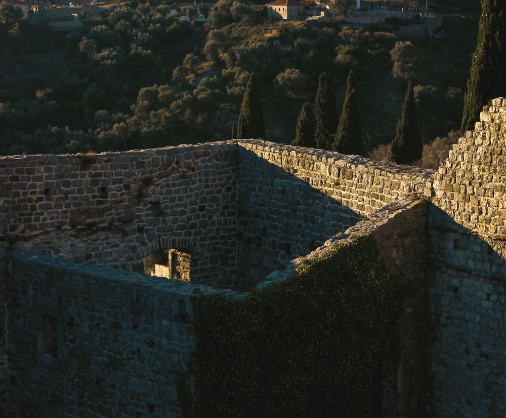 Photograph by Вероника Антипова