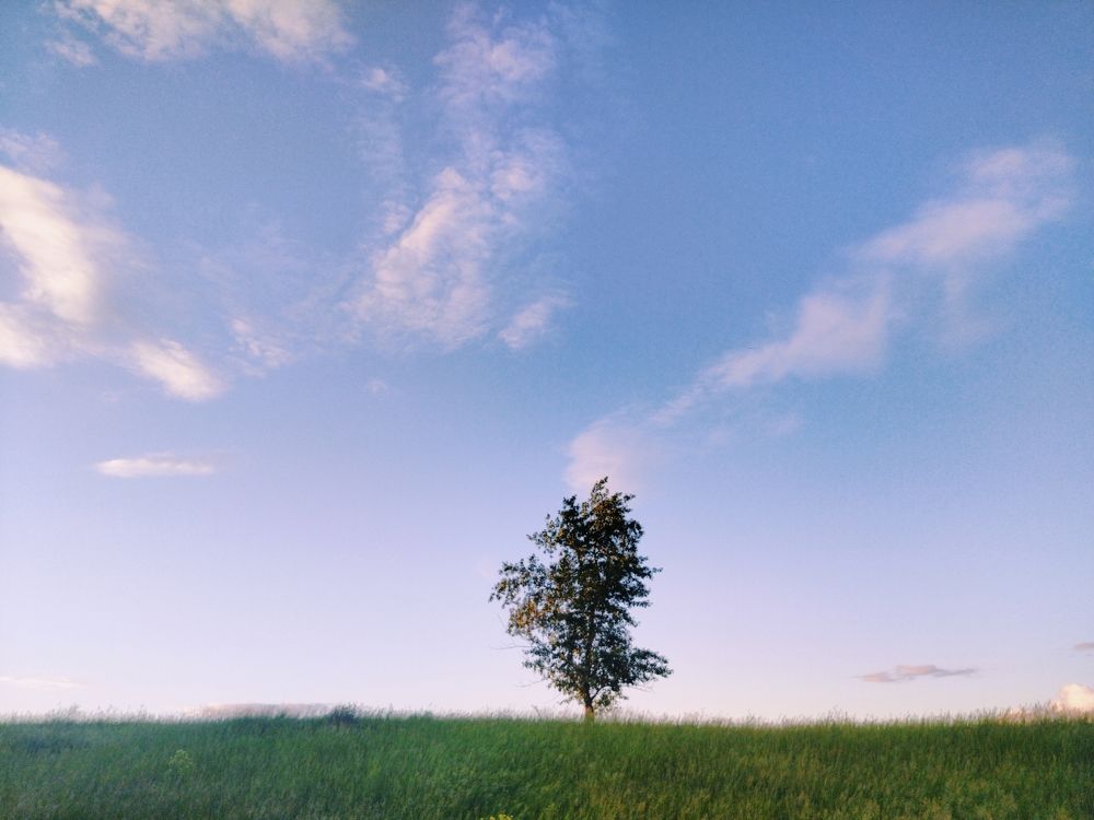 Photograph by Юлия