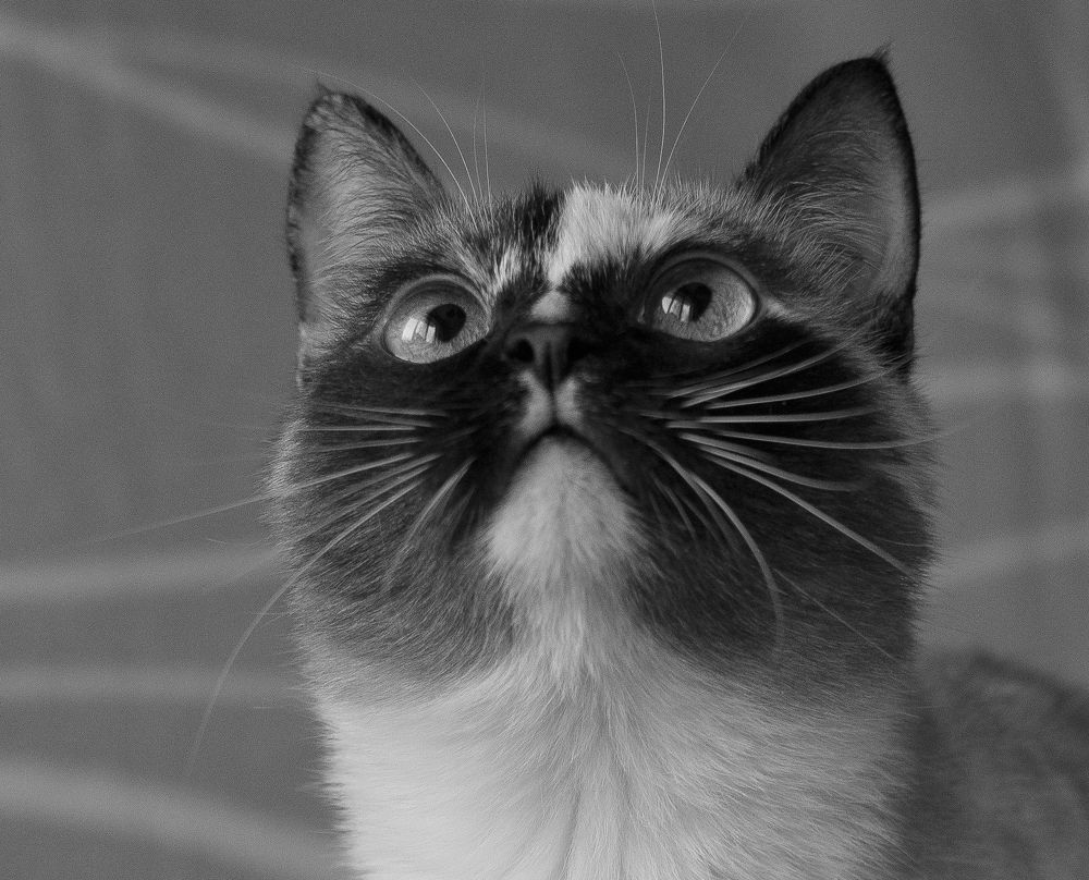 Photograph by Евгения Бронова