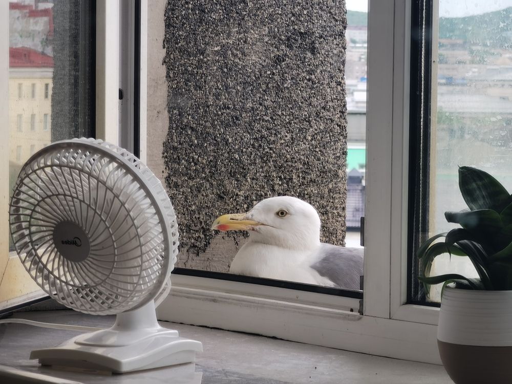 Жарко, однако