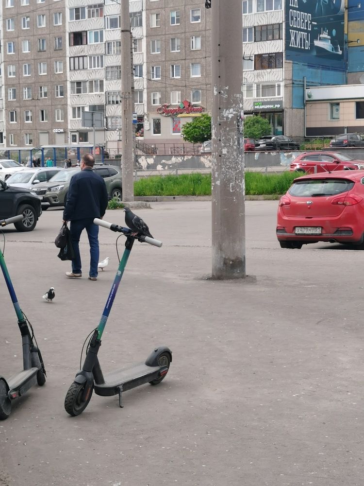 Прокатимся?