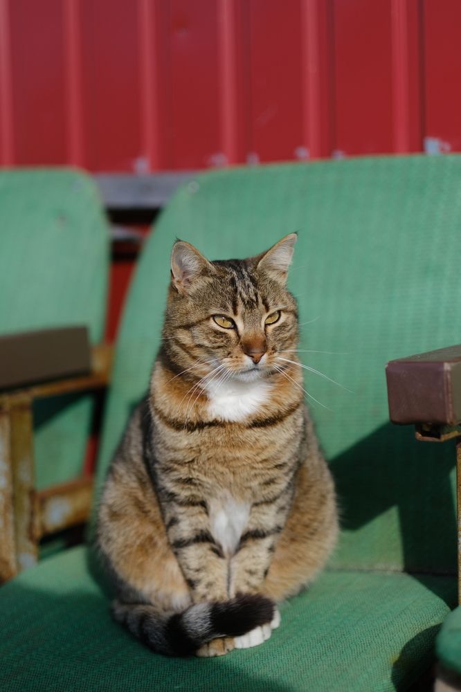 Photograph by Владислав Титов