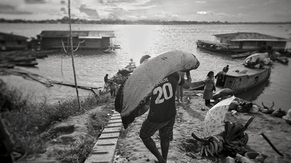 Pescadores de Pirarukus