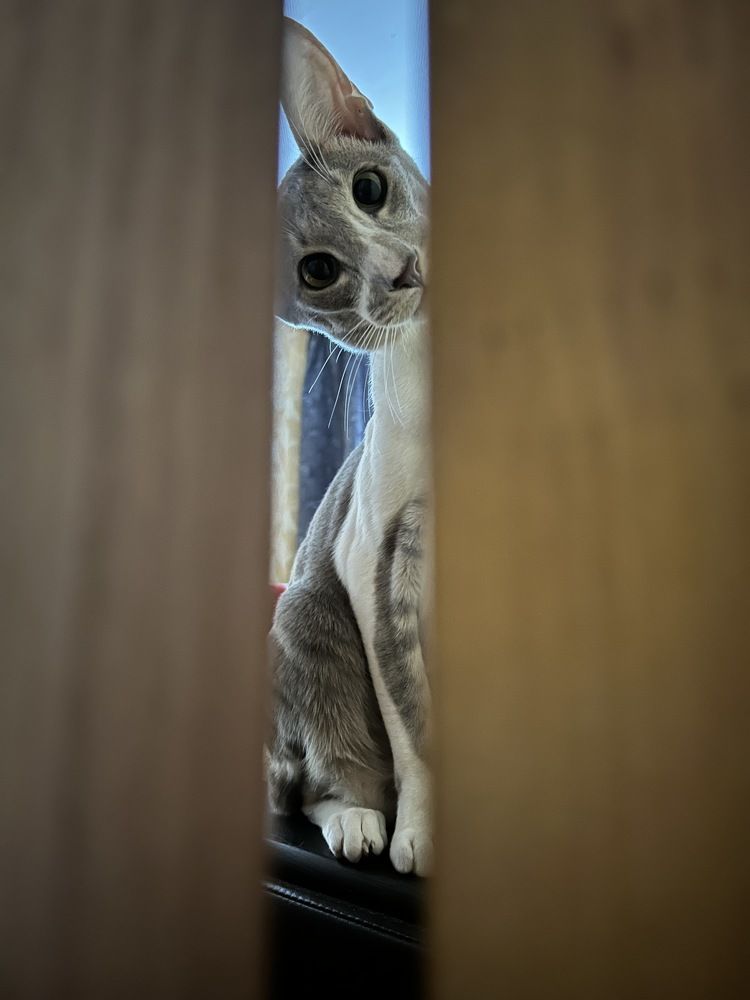 Photograph by Дмитрий Костяков