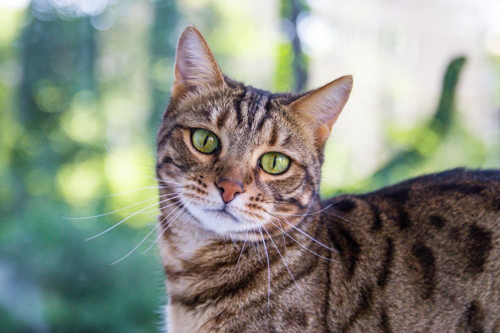 Photograph by Дмитрий Костяков