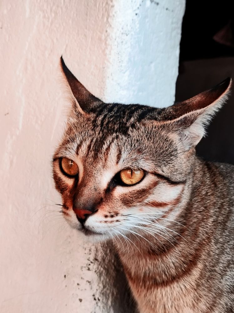 Photograph by Antaryami Das