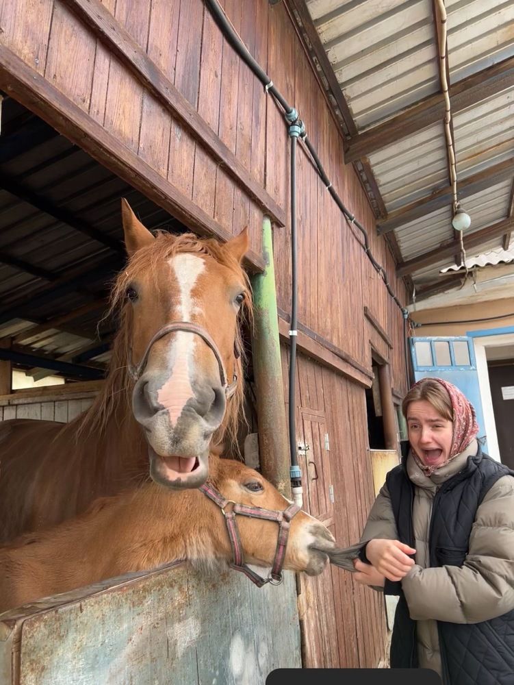 Фотография автора Борис Соколов