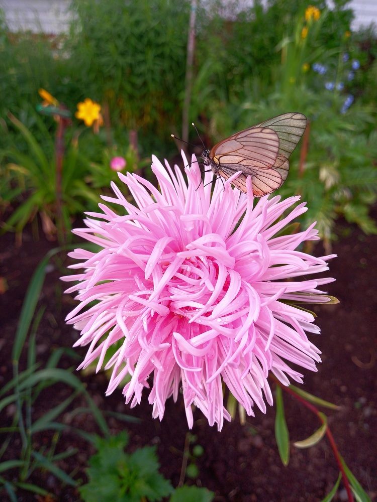 Photograph by Надежда Ключкина