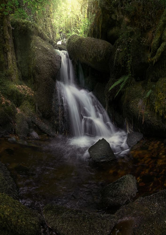 Photograph by Miguel Iglesias