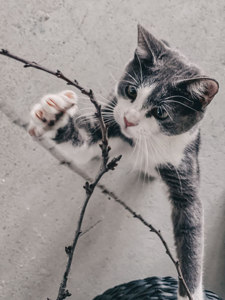 Photograph by Юлия