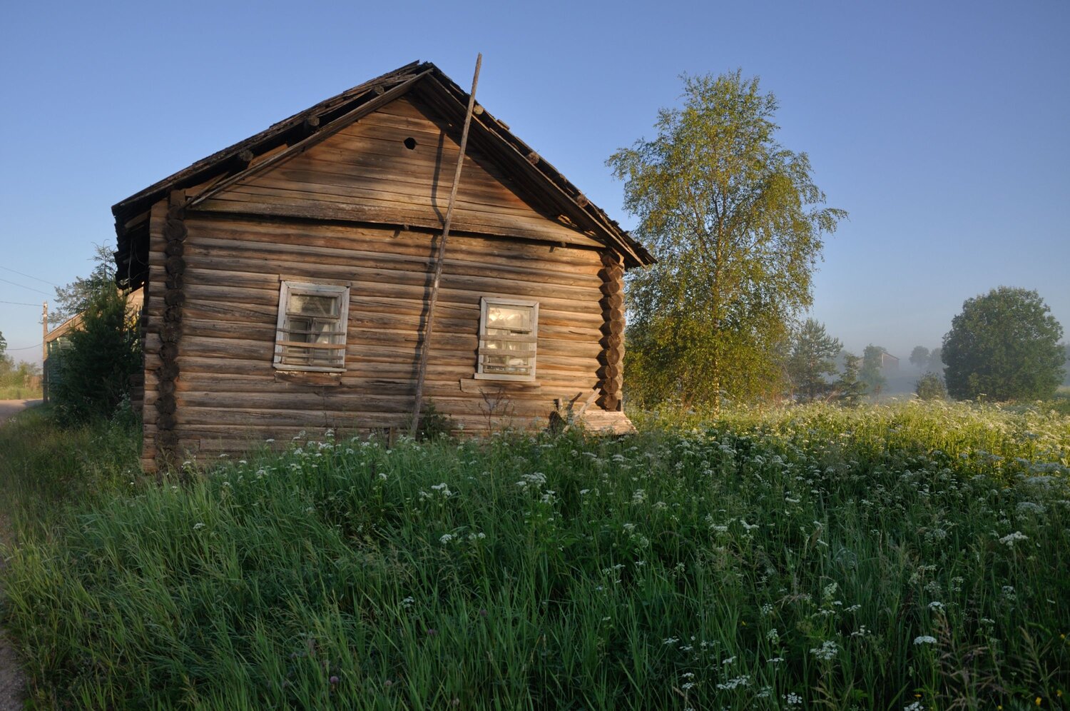 Photo #10735440