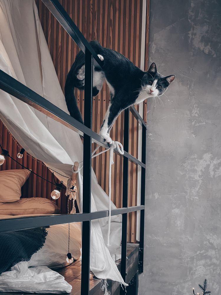 Photograph by Юлия