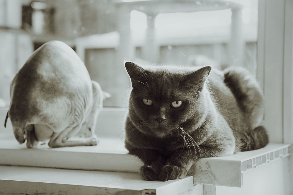 Photograph by Оксана Некрасова