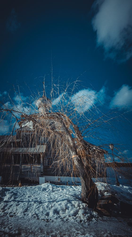 Photograph by Марина Попова