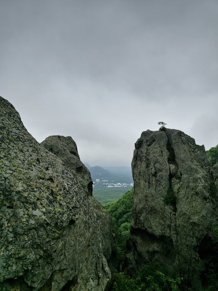 Photograph by Natali AB