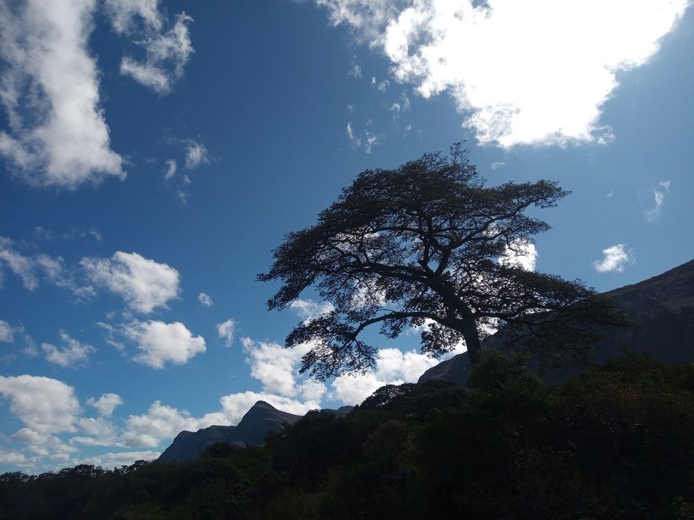 Фотография автора Edmundo Figueiredo Soares Junior