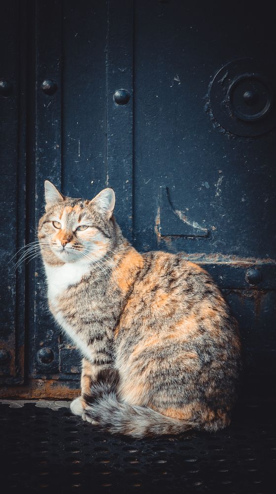 Photograph by Марина Попова