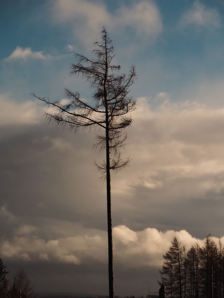 Photograph by Hermann Alexandra