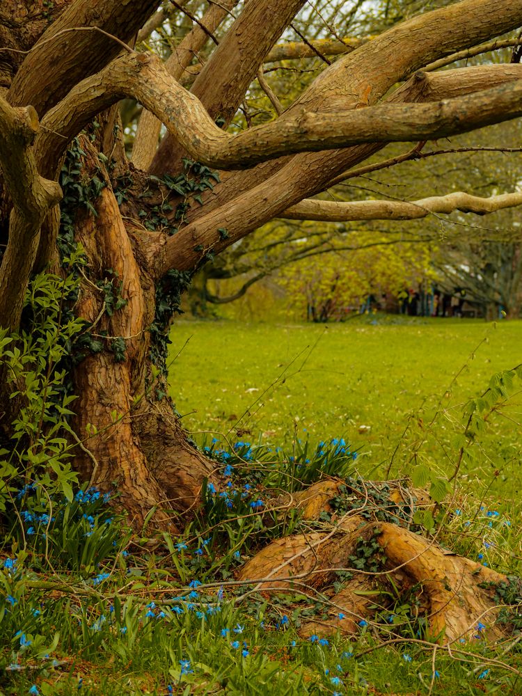 Photograph by Hermann Alexandra