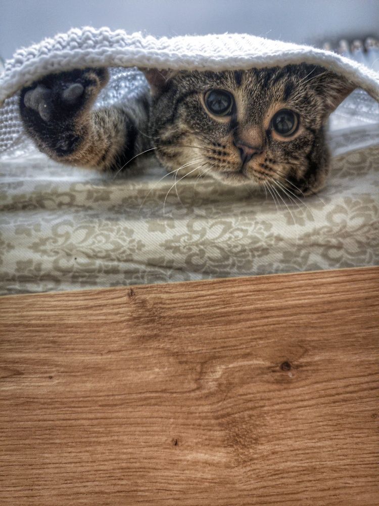 Photograph by Светлана Захарова