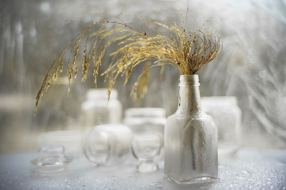 Photograph by Солодар Виктория