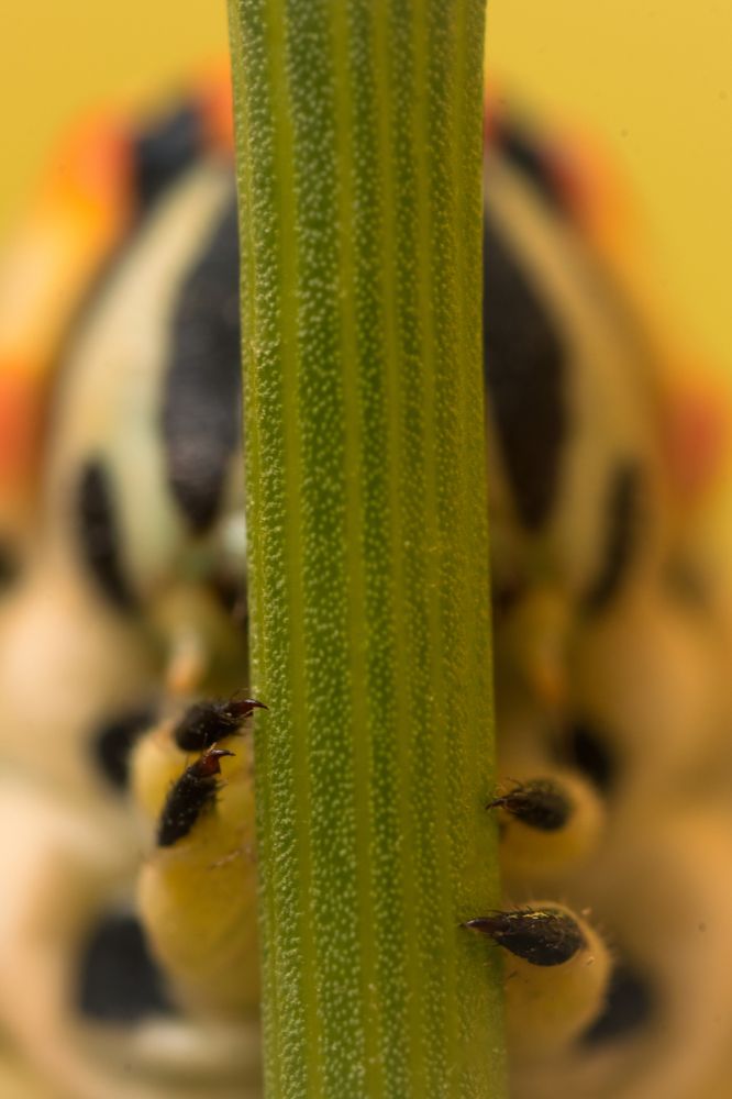 Photograph by Aída Torres