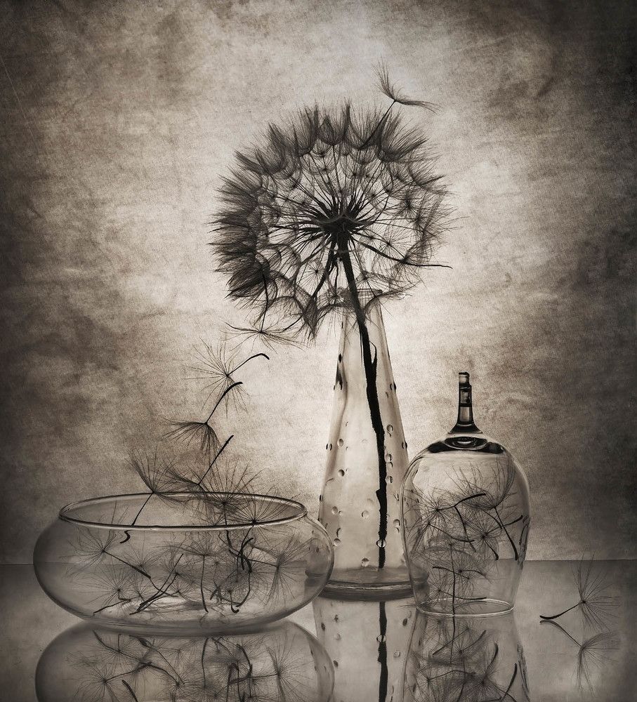 Photograph by Солодар Виктория