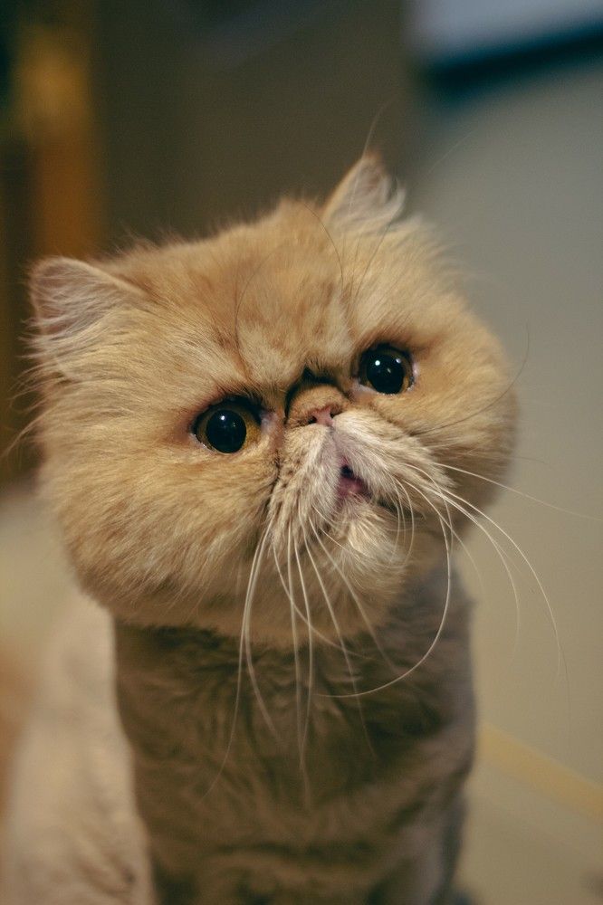 Photograph by Alisa Mitina