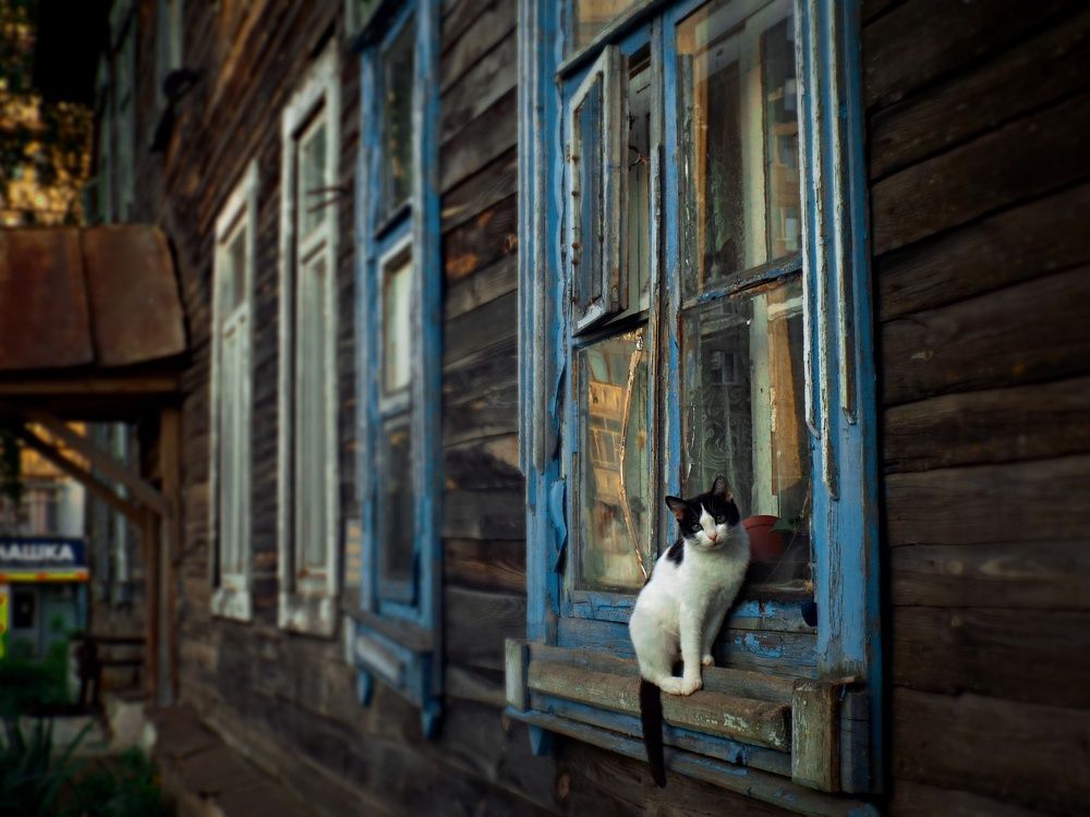 Photograph by Дарья Толстых