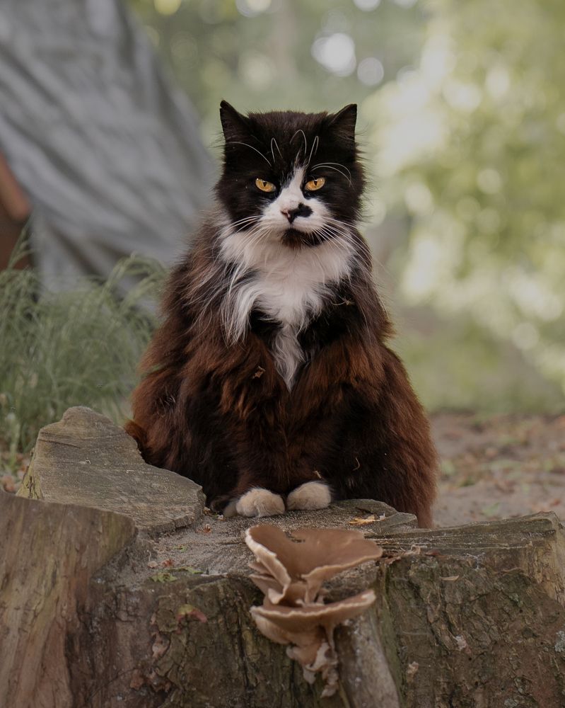 Photograph by Tatiana Grinko