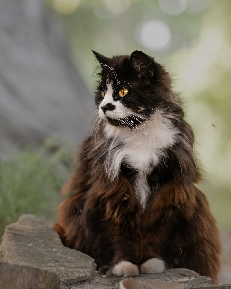 Photograph by Tatiana Grinko