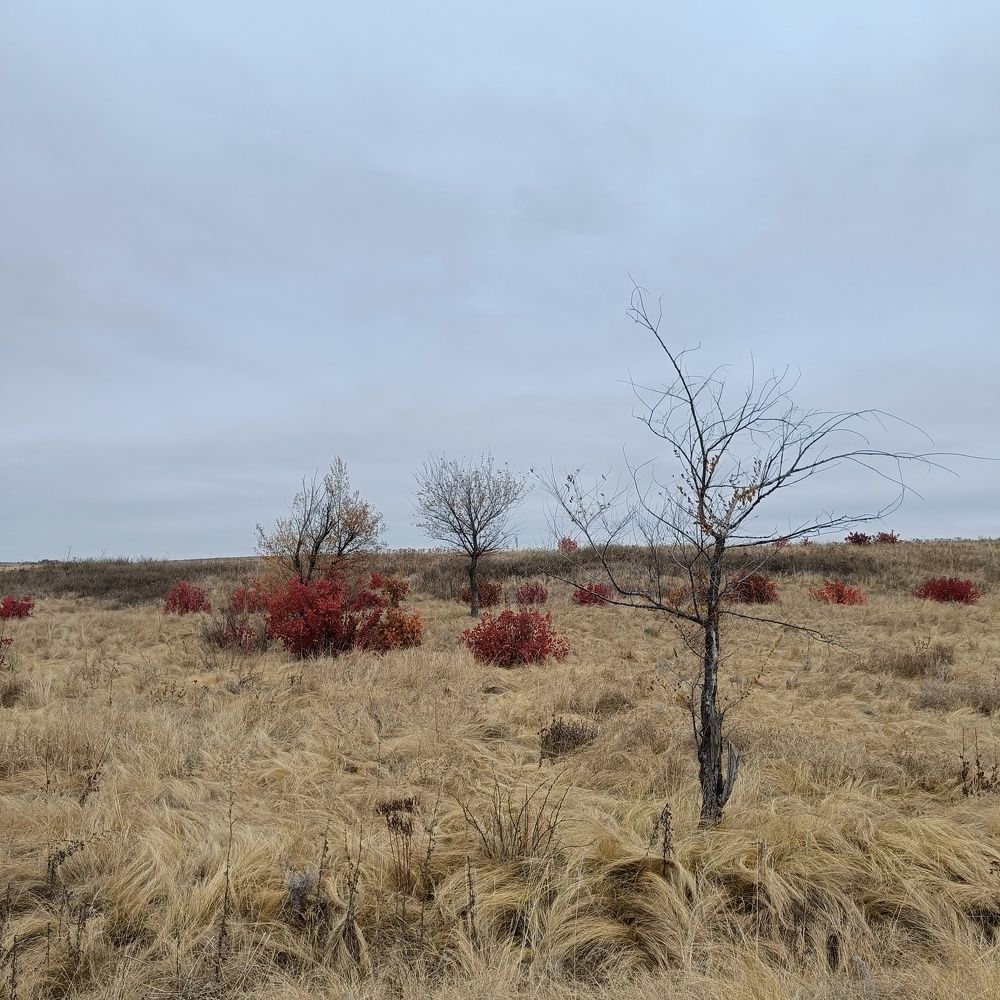 Photo #10735707