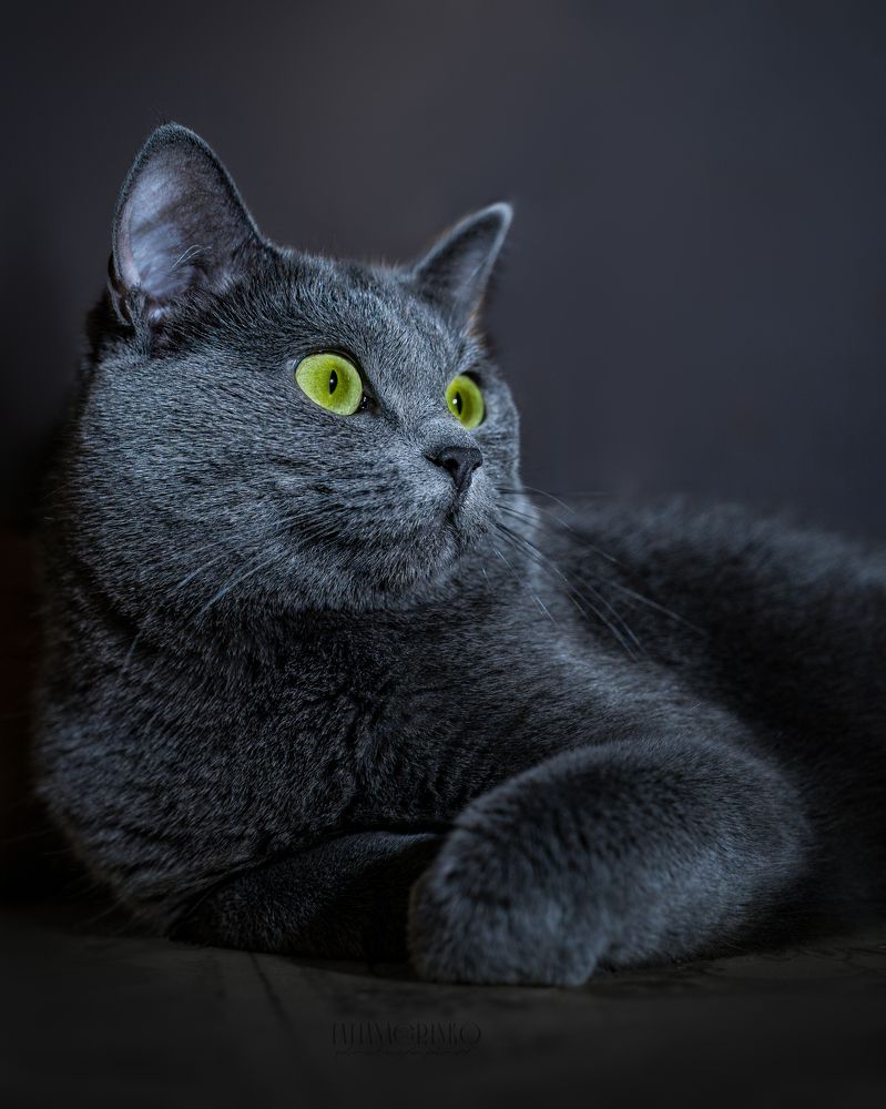 Photograph by T.Ю. Гринько