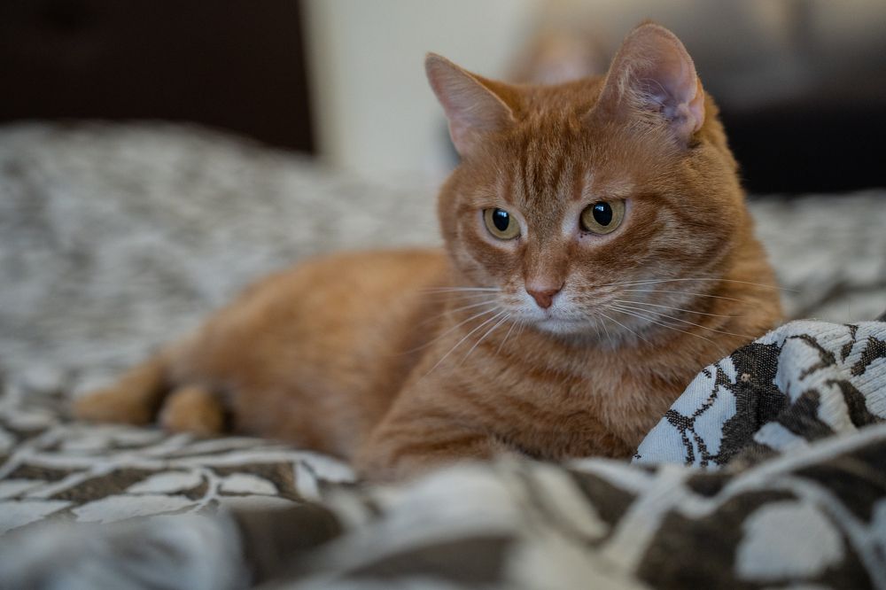 Photograph by Olesya Vladimirova